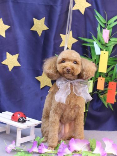 20230721モカちゃん